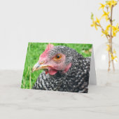 Scots Grijze Kip - het Wenskaart van het Gevogelte Kaart (Gele Bloem)