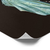 Scott en Zelda Poster (Hoek)