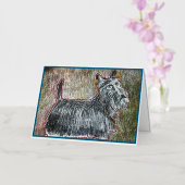 Scotti Music Kaart (Orchidee)