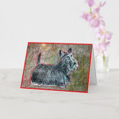 Scotti Wenskaart Kaart (Orchidee)