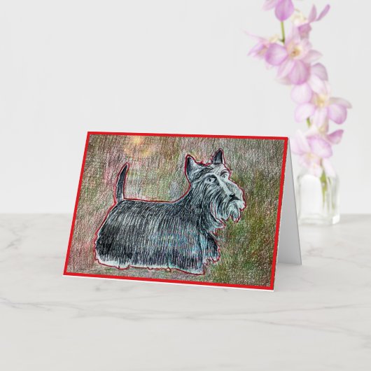 Scotti Wenskaart Kaart (Orchidee)