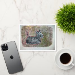 Scotti Wenskaart Kaart