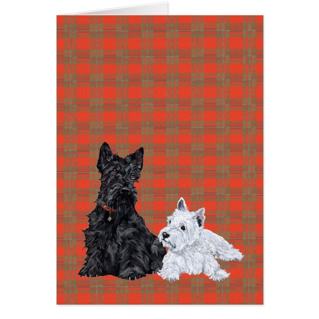 Scottie Adult & Westie Puppy (Voorkant)