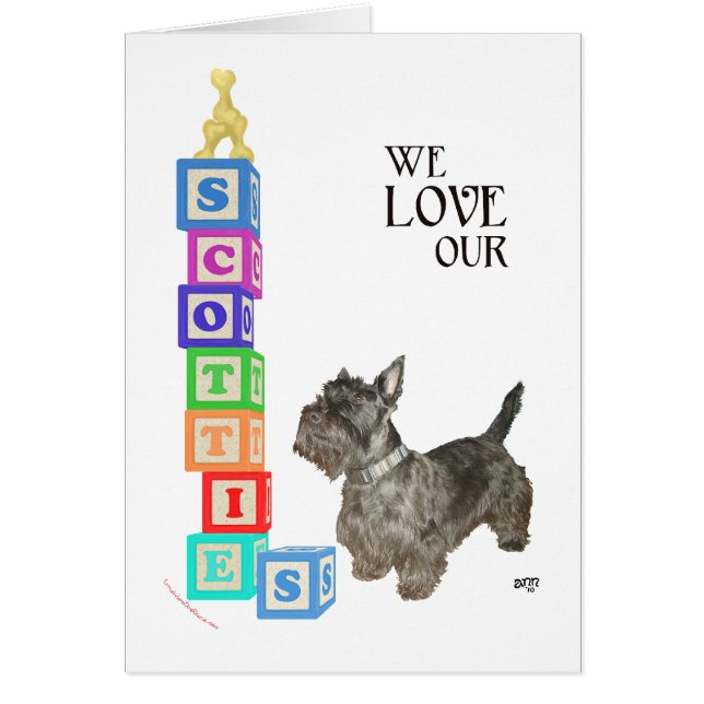 Scottie Alphabet Blocks (Voorkant)