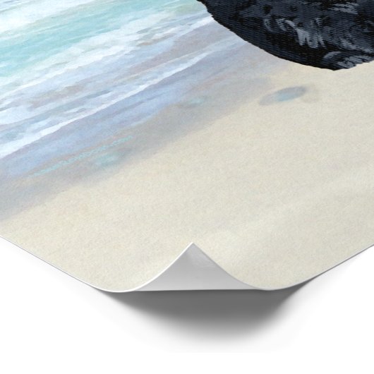 Scottie bij de Beach Poster (Hoek)