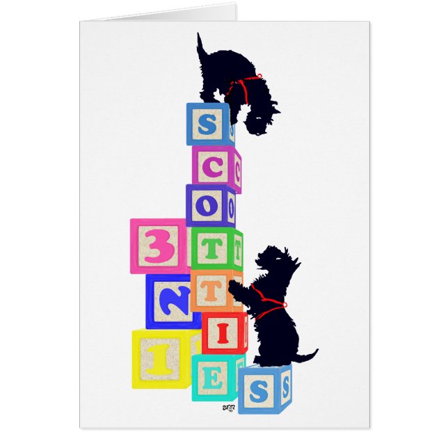 Scottie Blocks (Voorkant)