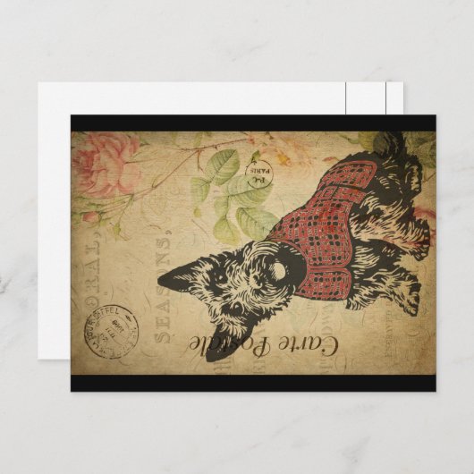  Scottie Briefkaart (Voorkant / Achterkant)