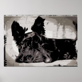 Scottie dog rust met een stedelijke achtergrond poster (Voorkant)