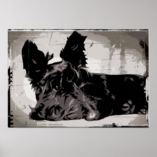 Scottie dog rust met een stedelijke achtergrond poster (Voorkant)