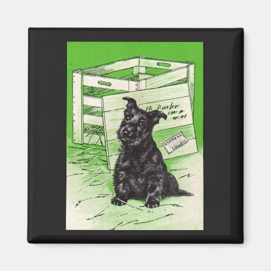 Scottie dog via speciale levering magneet (Voorkant)