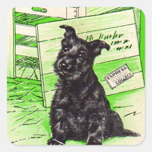 Scottie dog via speciale levering vierkante sticker (Voorkant)