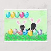 Scottie Easter Feestdagenkaart (Voorkant)