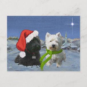 Scottie en Westie kerstster Feestdagenkaart