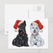 Scottie en Westie koorzingen Briefkaart (Voorkant / Achterkant)