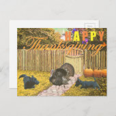 Scottie Happy Thanksgiving Feestdagenkaart (Voorkant / Achterkant)