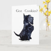Scottie - Heb je koekjes? Kaart (Gele Bloem)