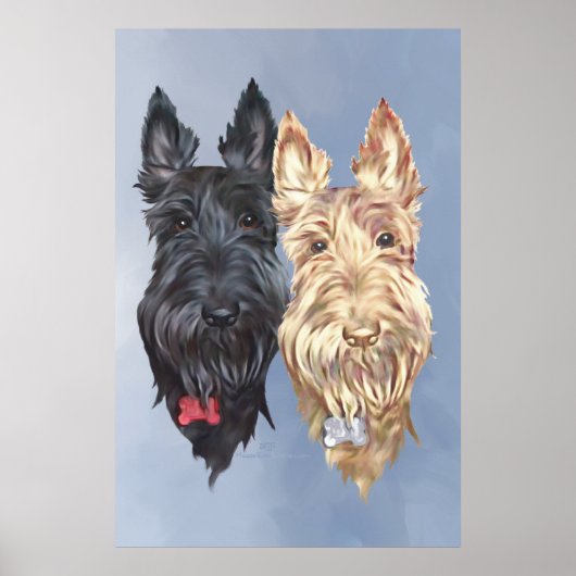 Scottie Honden Poster (Voorkant)