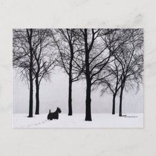 Scottie in besneeuwde bossen briefkaart