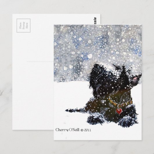 Scottie in de sneeuw briefkaart (Voorkant / Achterkant)
