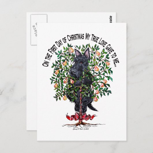 Scottie in een peerboom briefkaart (Voorkant / Achterkant)