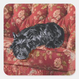 Scottie in grote rode stoel vierkante sticker