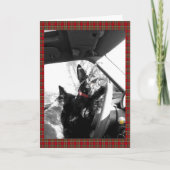 Scottie Kaart (Voorkant)