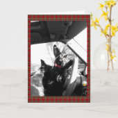 Scottie Kaart (Gele Bloem)