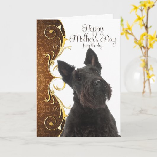 Scottie Moederdag Kaart (Gele Bloem)