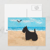 Scottie op het strand met meeuw briefkaart (Voorkant / Achterkant)