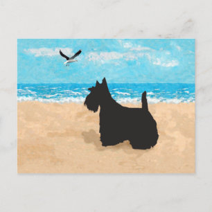 Scottie op het strand met meeuw briefkaart