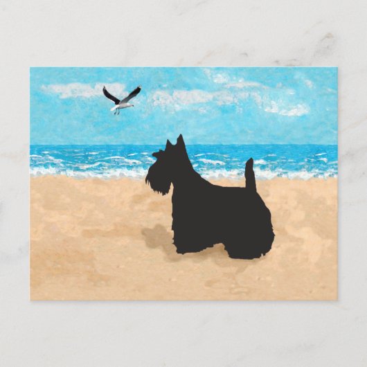 Scottie op het strand met meeuw briefkaart (Voorkant)