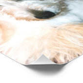 Scottie Photo Print Foto Afdruk (Hoek)