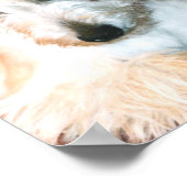 Scottie Poster (Hoek)