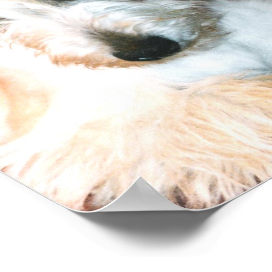 Scottie Poster (Hoek)