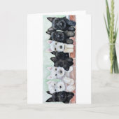 Scottie Puppies Kaart (Voorkant)