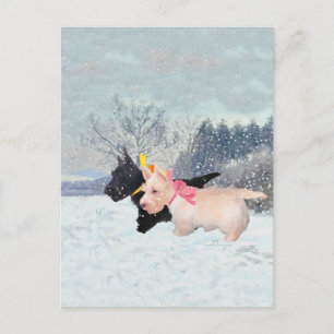 Scottie Pups Briefkaart