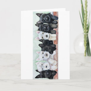 Scottie Pups Kaart