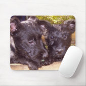 Scottie Pups Muismat (Met muis)