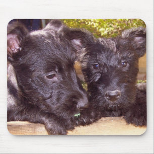 Scottie Pups Muismat