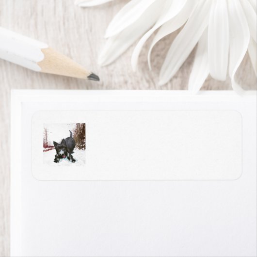 SCOTTIE Return Address Labels (Insitu)