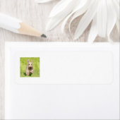 SCOTTIE Return Address Labels (Insitu)