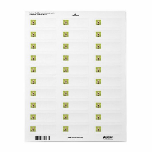 SCOTTIE Return Address Labels (Full Sheet)