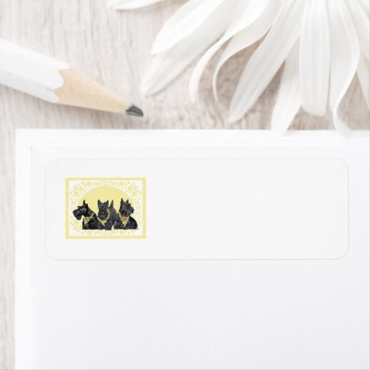 SCOTTIE Return Address Labels (Insitu)