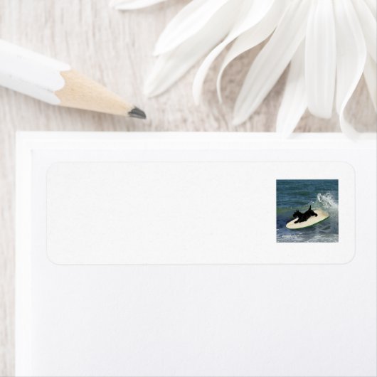 SCOTTIE Return Address Labels (Insitu)