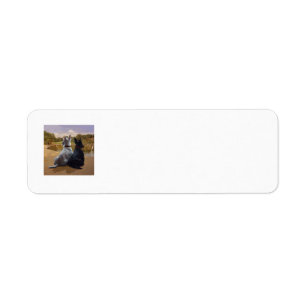 SCOTTIE Return Address Labels