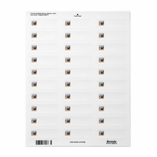 SCOTTIE Return Address Labels (Full Sheet)