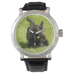 Scottie Running Free Horloge