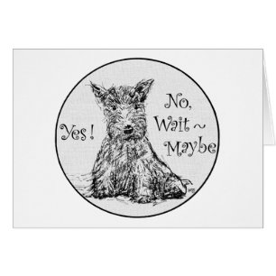 Scottie Sketch - Onbeslissing