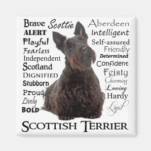 Scottie Traits Magnet