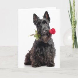 Scottie Valentine – Standvastige Liefde & Trouw Kaart